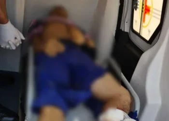 Motociclista morre em acidente de trânsito com caminhão na BR-317