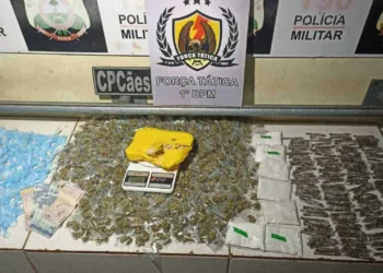 PM apreende grande quantidade e variedade de drogas em casa na Vila Betel