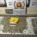 PM apreende grande quantidade e variedade de drogas em casa na Vila Betel