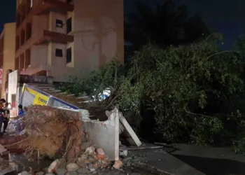 Defesa Civil registra 11 quedas de árvores após tempestade em Rio Branco