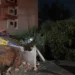 Defesa Civil registra 11 quedas de árvores após tempestade em Rio Branco