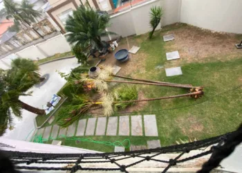 Cinco dias depois, Defesa Civil ainda atende notificações da última tempestade