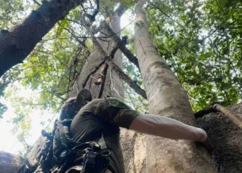 (Foto: Mark Gouveia/Acervo pessoal)