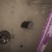 fuga presídio iapen