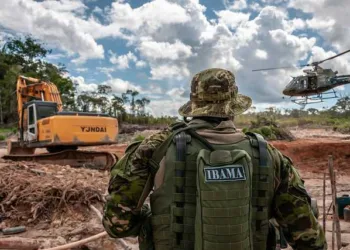 Ministério da Economia autoriza concurso com mais de 560 vagas para o Ibama