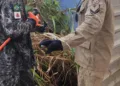 Grave incêndio ao lado de condomínio residencial é controlado pelos bombeiros