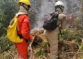 Grave incêndio atinge 25 hectares da reserva florestal da Embrapa