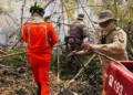 Grave incêndio atinge 25 hectares da reserva florestal da Embrapa