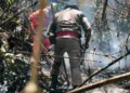 Grave incêndio atinge 25 hectares da reserva florestal da Embrapa