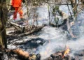 Grave incêndio atinge 25 hectares da reserva florestal da Embrapa