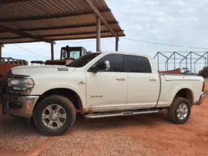 Operação prende pecuaristas por sonegação fiscal em esquema de transporte e comércio de gado