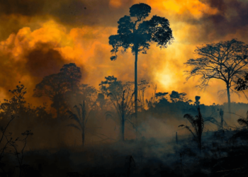 queimadas acre