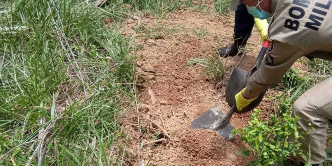 homem assassinado senador guiomard