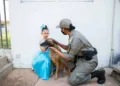 Com 14 cães e sob comando feminino, CPCães realizou apreensão de mais de 100 quilos de drogas em 2021