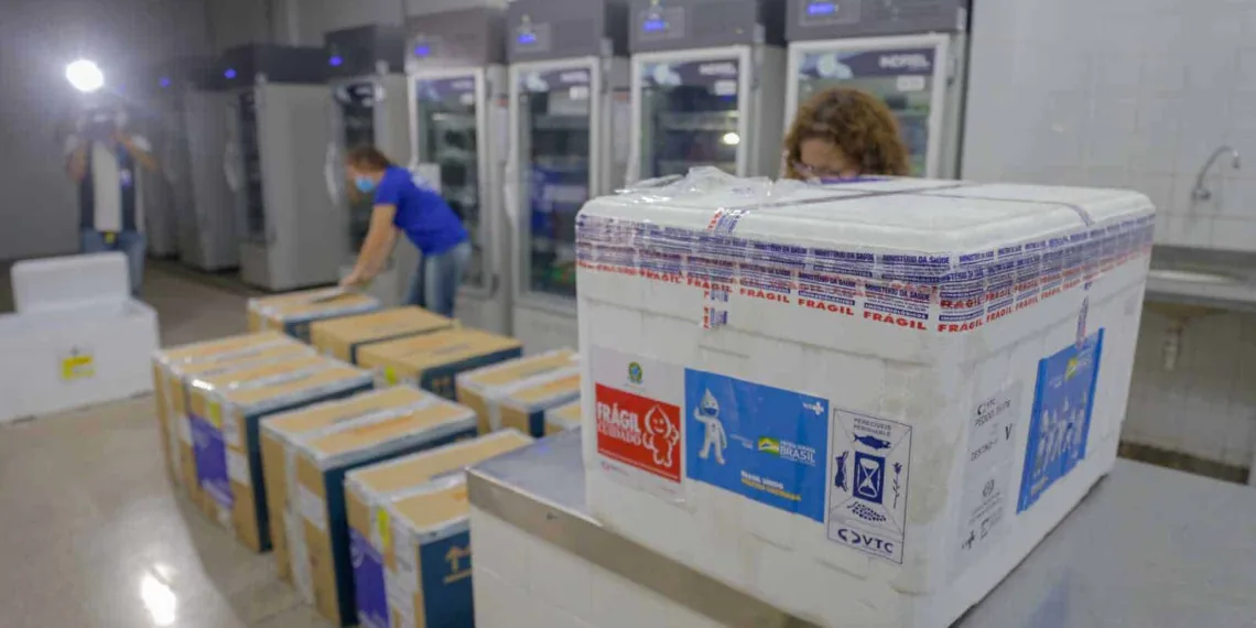 Após a entrega à central do Programa Nacional de Imunização (PNI), dá-se início ao envio das doses aos municípios, que são responsáveis pelo cronograma de vacinação. Foto: Neto Lucena/Secom/Arquivo