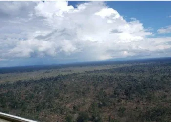 PF cumpre 10 mandados contra organização que desmatou 19 milhões de m² da floresta Antimary