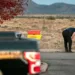Alec Baldwin foi visto chorando ao sair da delegacia onde depôs sobre incidente que matou diretora de fotografia