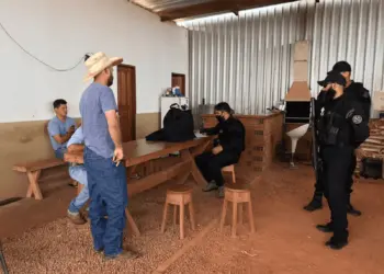 operação fake bois