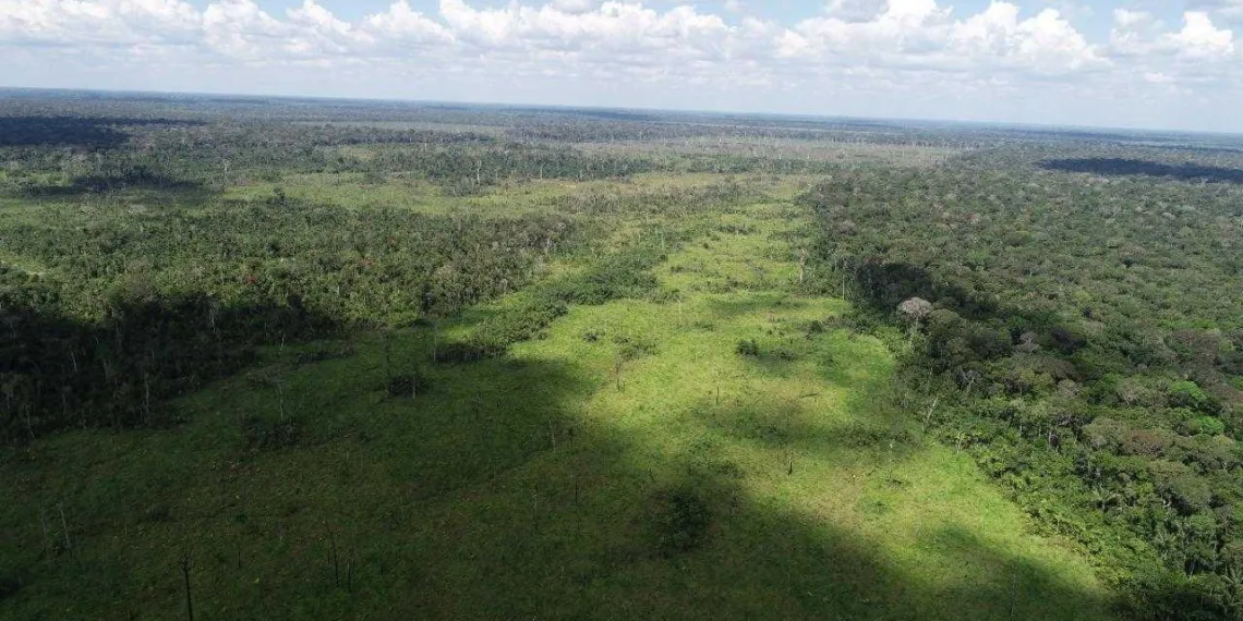 Amazônia Legal: Acre desmatou 3 km² de floresta em janeiro, aponta Imazon