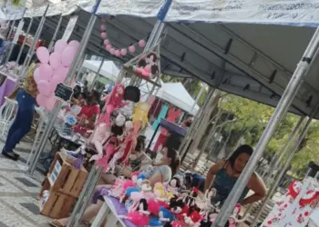 coletivo elas fazem acontecer acre feira