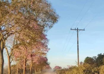 Beneficiários da Tarifa Rural de Energia podem perder desconto, caso não efetuem atualização cadastral
