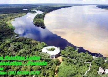 A descarbonização do planeta