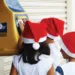 Campanha 'Papai Noel dos Correios' começa nesta sexta-feira, no Acre