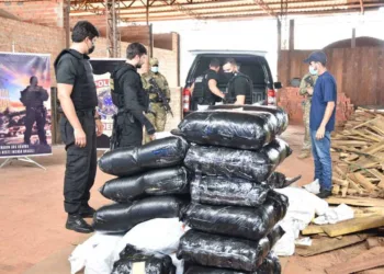 incineração drogas Polícia federal