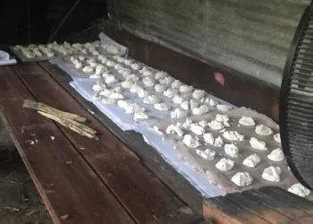 Polícia Civil desmonta laboratório de secagem de drogas na Transacreana e prende um em flagrante