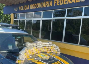 Em menos de 24 horas, PRF apreende quase 50 quilos de drogas no interior do Estado
