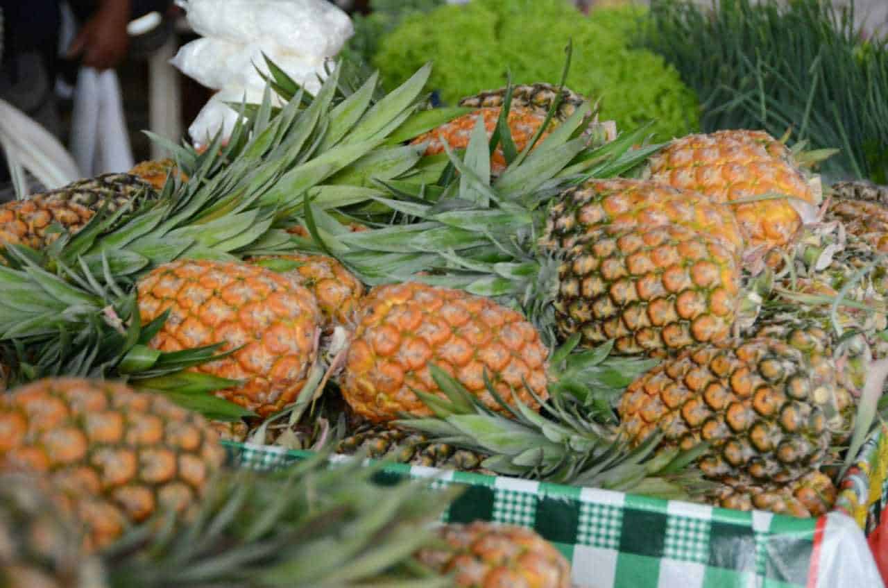 Fapac abre seleção de bolsas de R$ 3 mil para produtores de abacaxi e mandioca