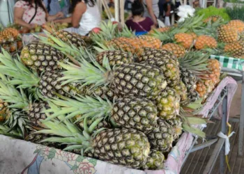 No Mercado Elias Mansour, o abacaxi ganha destaque nas bancas atraindo mais consumidores (Foto: