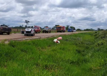 (Foto: Cedida/PRF)