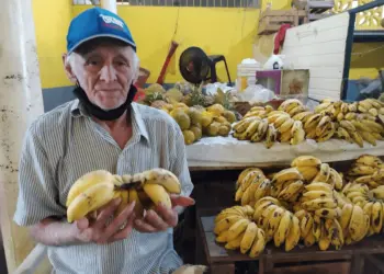 preço banana (Foto: Dell Pinheiro)