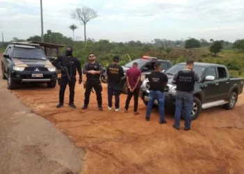 Polícia desmantelou ao menos 6 organizações especializadas em roubo de caminhonetes no Acre, afirma delegado