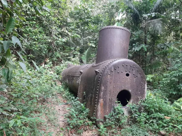 Trilhas, cachoeira e cultura: conheça o Parque Nacional da Serra do Divisor