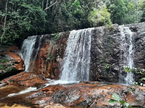 Trilhas, cachoeira e cultura: conheça o Parque Nacional da Serra do Divisor