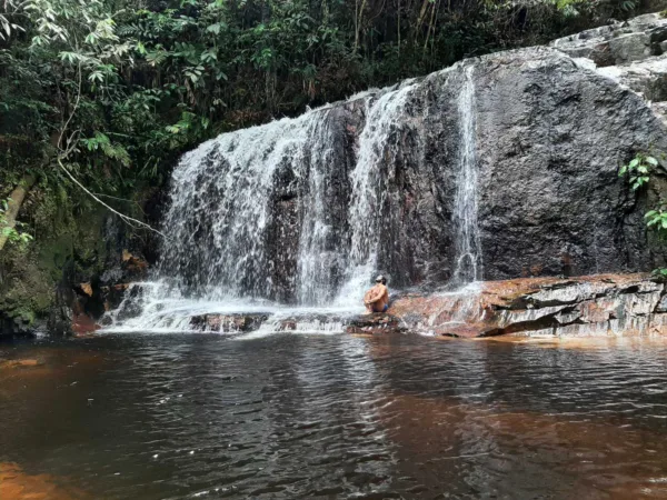 Trilhas, cachoeira e cultura: conheça o Parque Nacional da Serra do Divisor