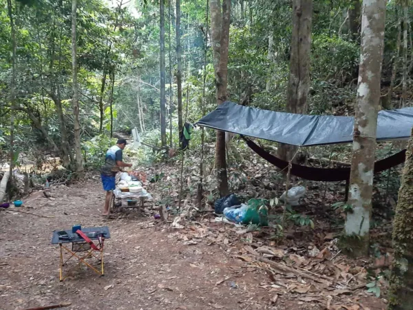 Trilhas, cachoeira e cultura: conheça o Parque Nacional da Serra do Divisor