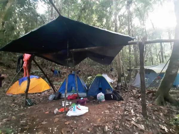 Trilhas, cachoeira e cultura: conheça o Parque Nacional da Serra do Divisor