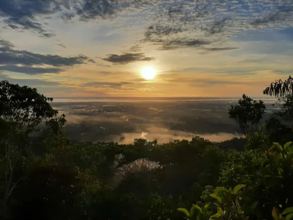 Trilhas, cachoeira e cultura: conheça o Parque Nacional da Serra do Divisor