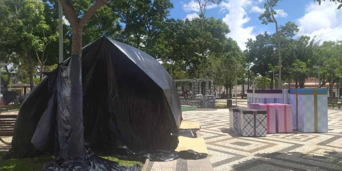Decoração natalina em Rio Branco deve ser finalizada no dia 18, diz secretário de Infraestrutura