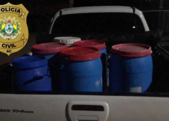 Caminhoneiro é preso ao transportar 155 quilos de cocaína na BR-364