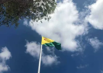 Transformações na política, 'inimigos ocultos', desastre aéreo; confira as previsões do tarô para o Acre em 2022