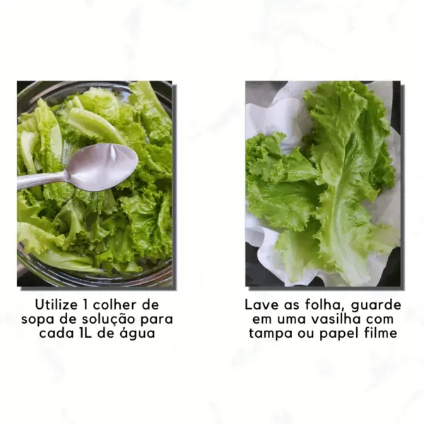 Como higienizar vegetais folhosos 3 Como higienizar vegetais folhosos