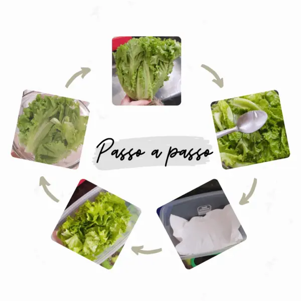 Como higienizar vegetais folhosos 1 Como higienizar vegetais folhosos