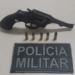 Acusado de violência doméstica, homem é preso com revólver e munições em Epitaciolândia