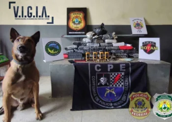 Quase 30 quilos de drogas são apreendidas duração ação policial em Cruzeiro do Sul