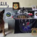 Quase 30 quilos de drogas são apreendidas duração ação policial em Cruzeiro do Sul
