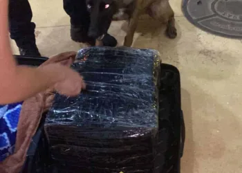 Droga estava na mala do rapaz e, segundo as investigações, seria enviada para Feijó/Ac (Foto: Assessoria/PC)